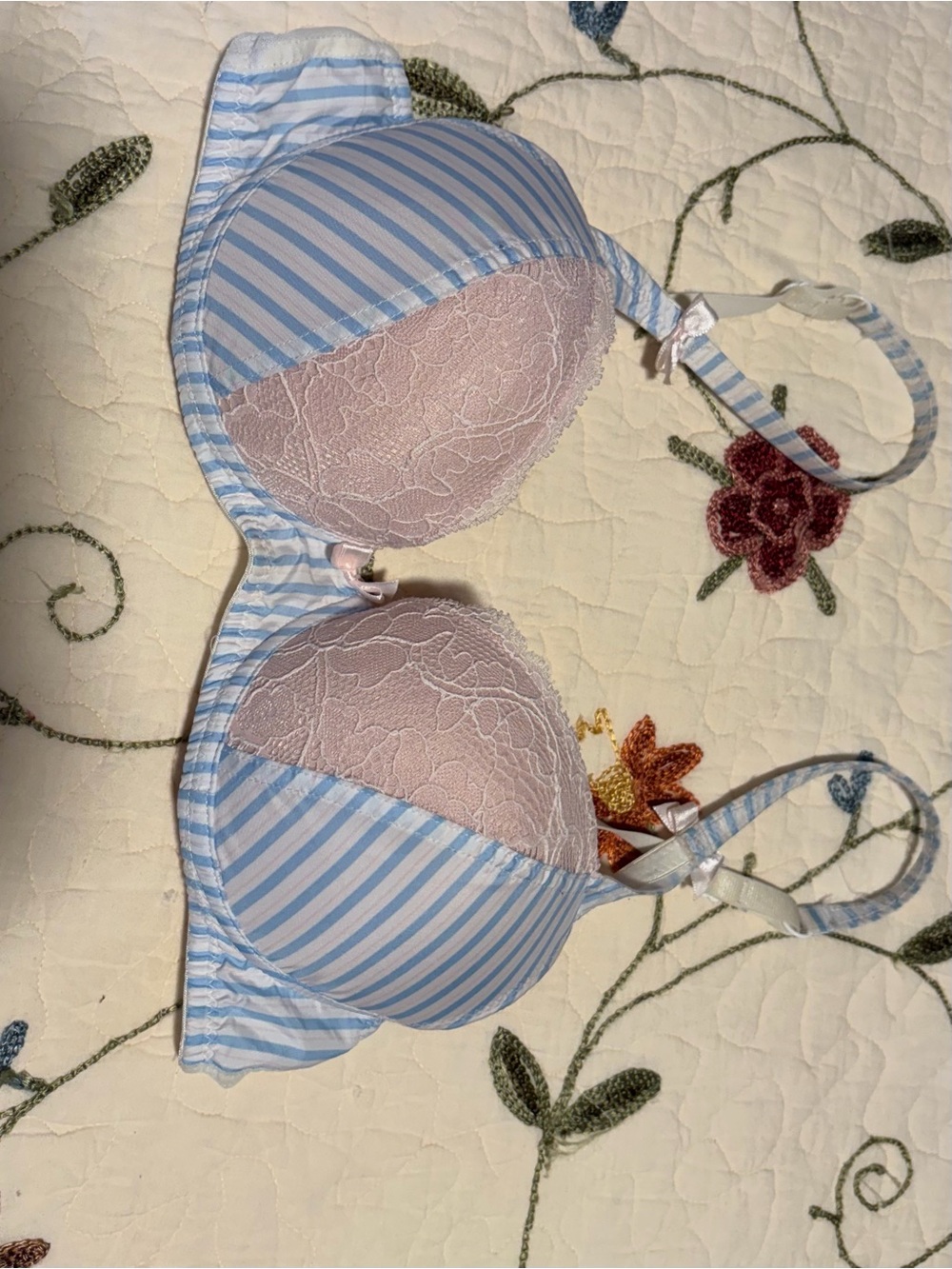 Light Blue Striped & Pale Pink Lace Push-Up Bra
